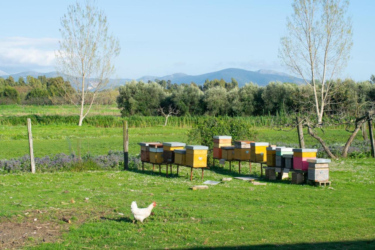 Camera Iris - B&B Antico Casale Monte San Biagio Luaran gambar